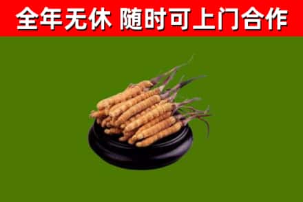 云浮市烟酒回收冬虫夏草.jpg