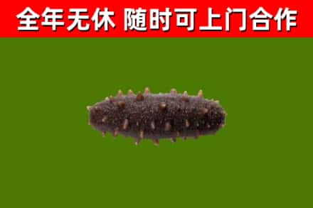 云浮市烟酒回收干海参.jpg